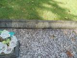 image of grave number 583174